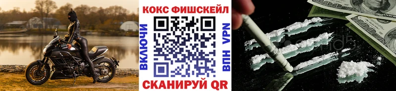 Купить закладки  Змеиногорск  COCAIN 97% 