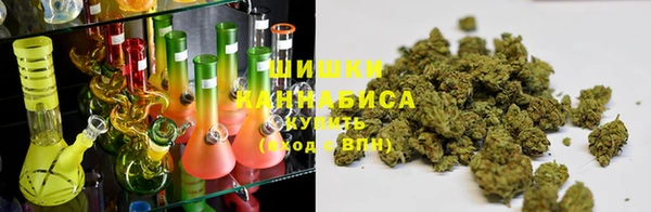 гидра Елабуга