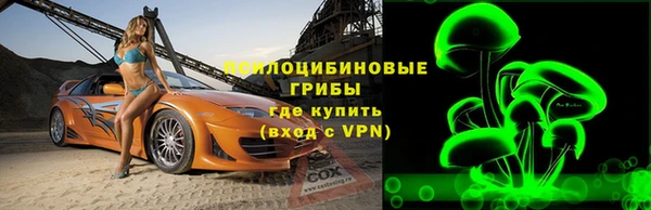 гидра Елабуга