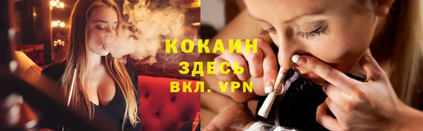 гидра Елабуга