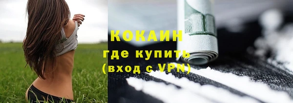 гидра Елабуга