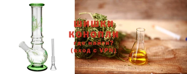 гидра Елабуга
