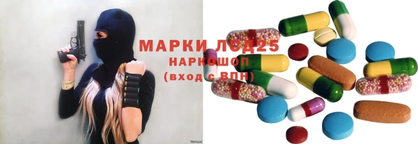 гидра Елабуга
