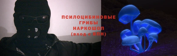 бутират Ельня