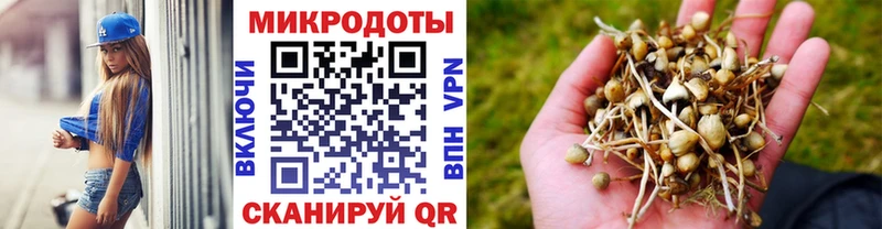Купить где  Змеиногорск  Галлюциногенные грибы мицелий 